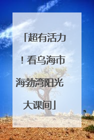 超有活力！看乌海市海勃湾阳光大课间